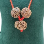 Student Kawach - Rudraksha Zoom Image