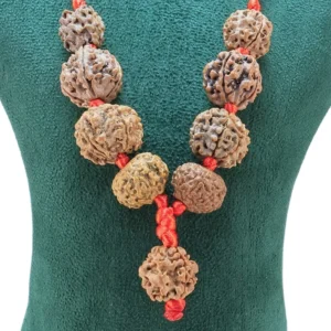 Sarva Graha Shanti Kawach ( with 1 Mukhi U/D ) - Rudraksha Zoom Image