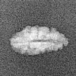 1 Mukhi Rudraksha 12.1mm 0.21gm - Xray
