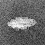 1 Mukhi Rudraksha 13.1mm 0.21gm - Xray