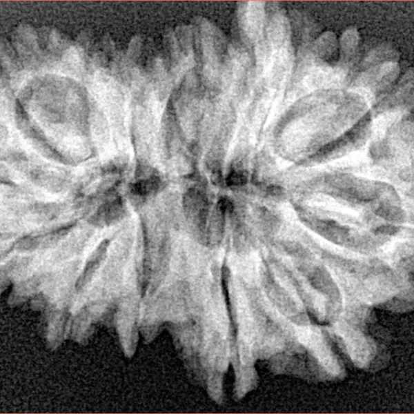 14 MK GS With Ganesh 31mm 4.77gm - Xray