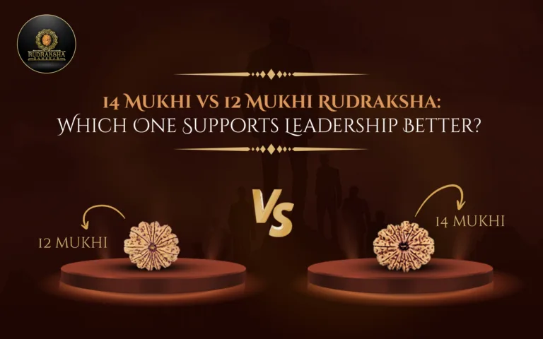 14 Mukhi vs 12 Mukhi Rudraksha: Which One Supports Leadership Better? 