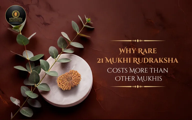 Why Rare 21 Mukhi Rudraksha Costs More than Other Mukhis 
