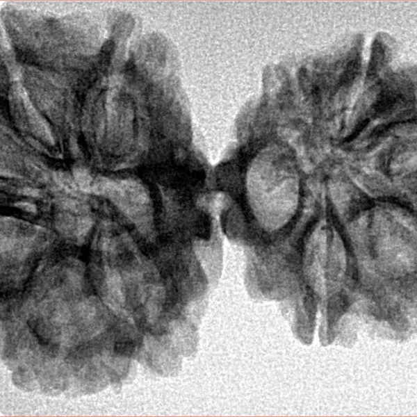 11 MK Gaurishankar 36.1mm 4.82gm - Inverse xray
