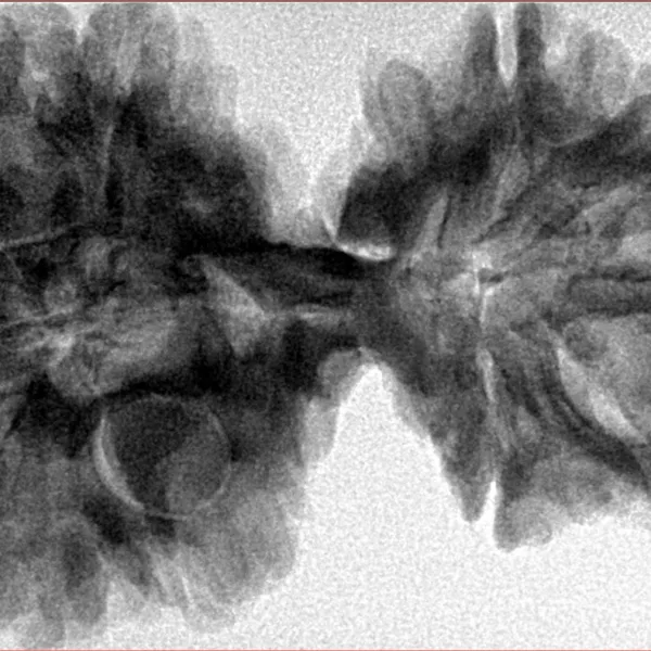 10 Mk Gaurishankar 40.1mm 8.13gm - Inverse xray
