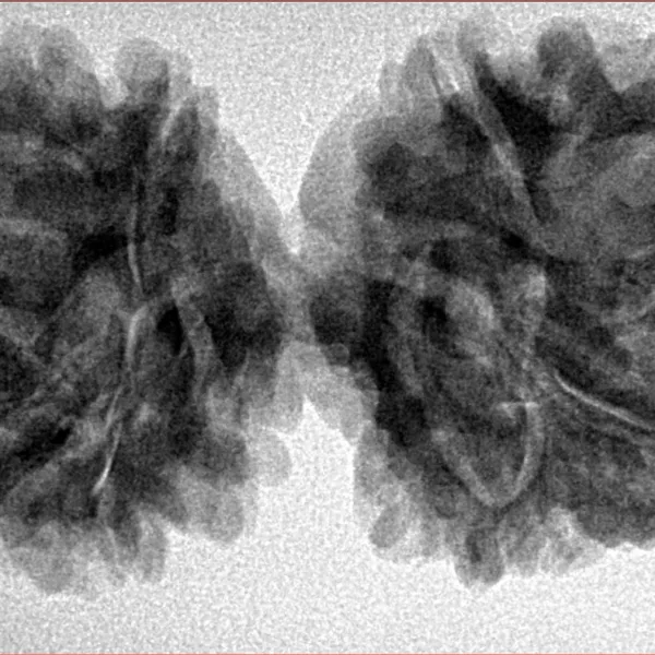 9 MK Gaurishankar 40.4mm 7.4gm - Inverse xray