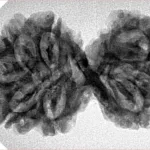 9 MK Gaurishankar 34.4mm 5.3gm - Inverse xray