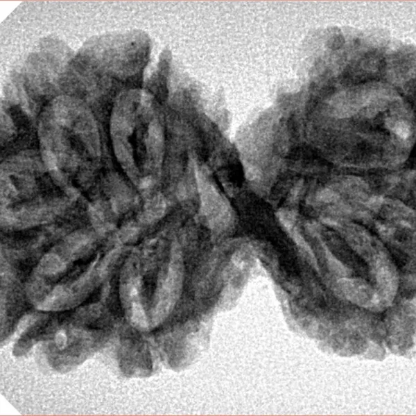 9 MK Gaurishankar 34.4mm 5.3gm - Inverse xray
