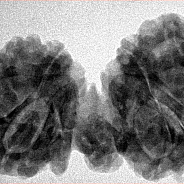 10 Mukhi Mini Trijuti 38mm 7.06gm - Inverse xray