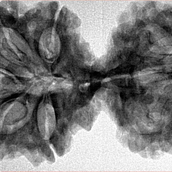 10 Mk Gaurishankar 40.2mm 6.87gm - Inverse xray