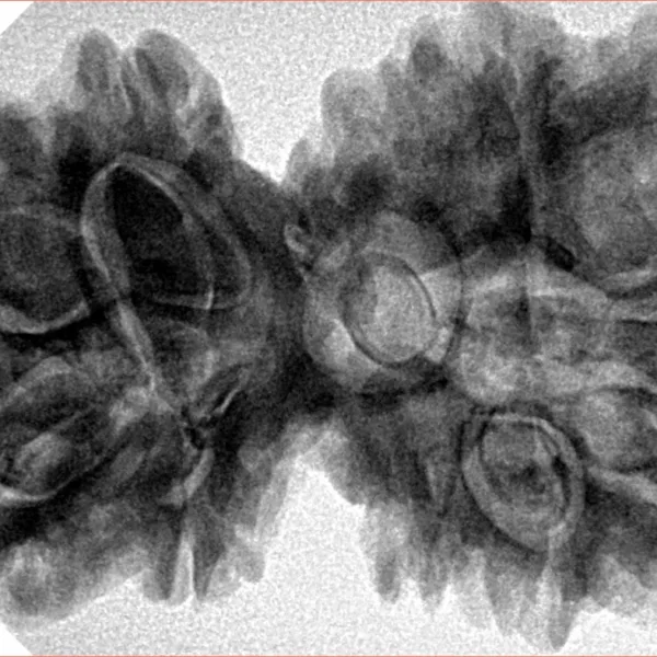 10 Mk Gaurishankar 40.1mm 9.31gm - Inverse xray