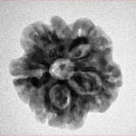 1MK(Underdeveloped) 21.2mm 3.3gm - Origin: Nepal - Inverse xray