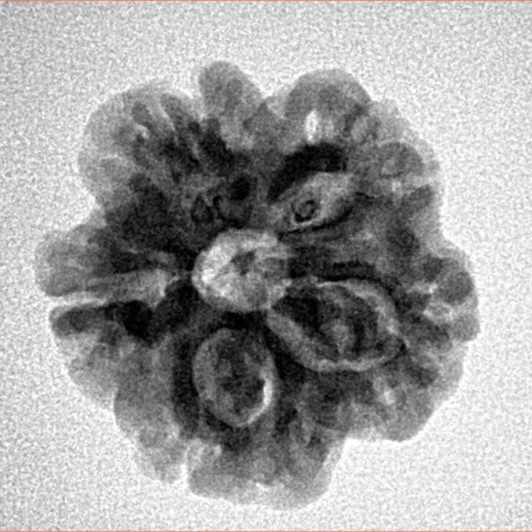 1MK(Underdeveloped) 21.2mm 3.3gm - Origin: Nepal - Inverse xray