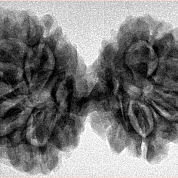9 MK Gaurishankar 37.6mm 6.56gm - Inverse xray