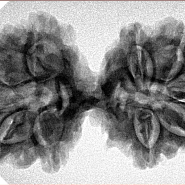 10 Mk Gaurishankar 36.1mm 6.25gm - Inverse xray