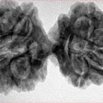 11 MK Gaurishankar 38.7mm 7.22gm - Inverse xray