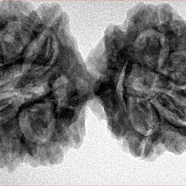11 MK Gaurishankar 38.7mm 7.22gm - Inverse xray