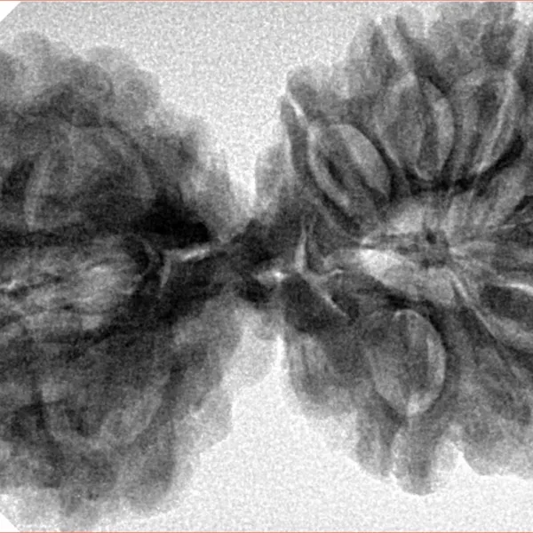 12 MK Gaurishankar 40.3mm 7.67gm - Inverse xray
