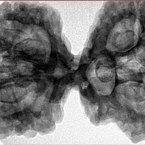 9 Mukhi Mini Trijuti 42.7mm 9.93gm - Inverse xray