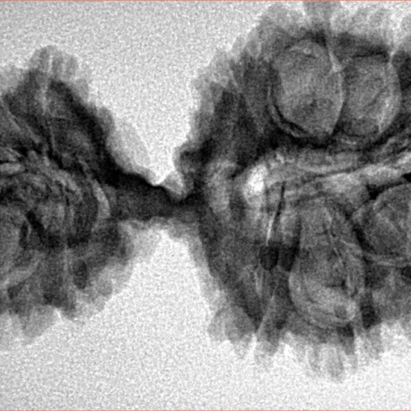 19 MK Gaurishankar 39.1mm 5.49gm - Inverse xray