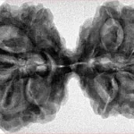 10 Mk Gaurishankar 40.5mm 7.85gm - Inverse xray