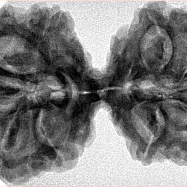 10 Mk Gaurishankar 40.5mm 7.85gm - Inverse xray