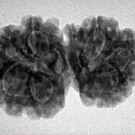 7 Mukhi G.S & Ganesh 30.3mm 5.13gm - Inverse xray