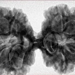 9 MK Gaurishankar 40.3mm 9.81gm - Inverse xray
