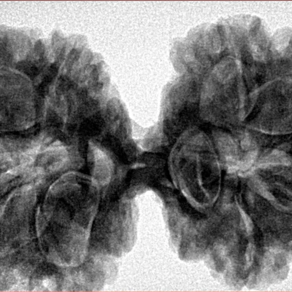 9 MK Gaurishankar 40.3mm 9.81gm - Inverse xray