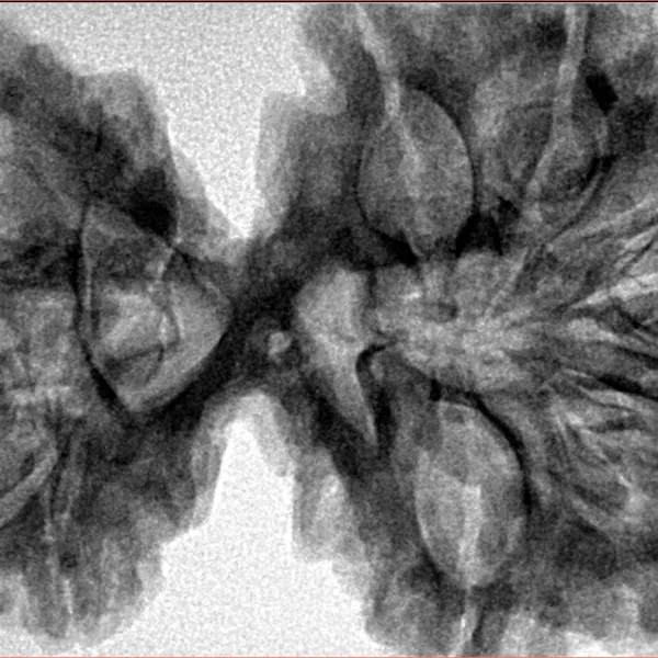 9 MK Gaurishankar 42.6mm 9.73gm - Inverse xray