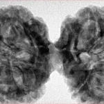 9 MK Gaurishankar 43.6mm 10gm - Inverse xray