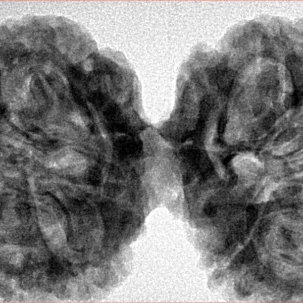 9 MK Gaurishankar 43.6mm 10gm - Inverse xray