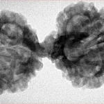 8 MK Gaurishankar 39.8mm 6.3gm - Inverse xray