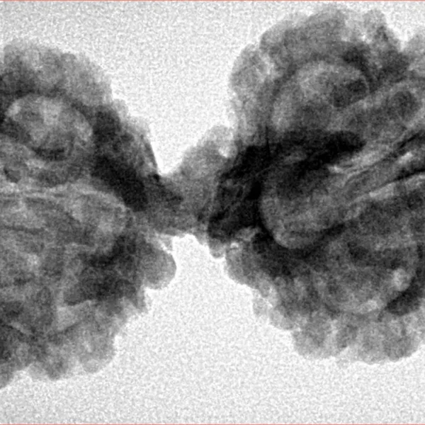 8 MK Gaurishankar 39.8mm 6.3gm - Inverse xray