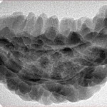 1 Mukhi Rudraksha 38.5mm 5.88gm - Inverse xray