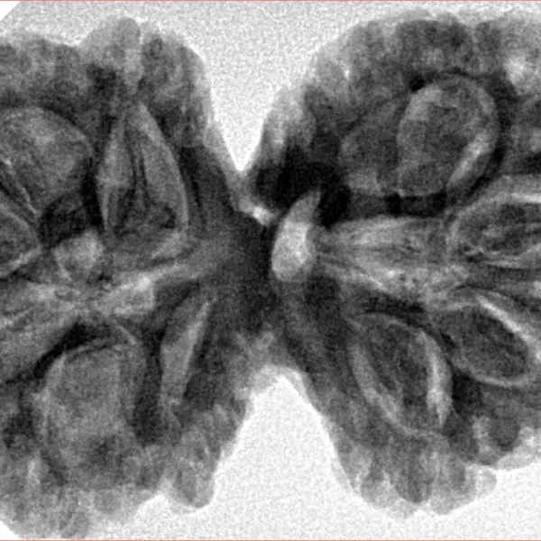10 Mk Gaurishankar 38.5mm 8.65gm - Inverse xray