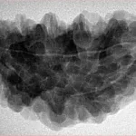 1 Mukhi Rudraksha 34.9mm 5.98gm - Inverse xray
