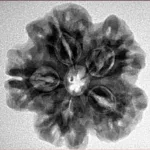 1MK(Underdeveloped) 24.7mm 4.87gm - Inverse xray