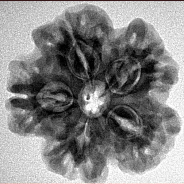 1MK(Underdeveloped) 24.7mm 4.87gm - Inverse xray