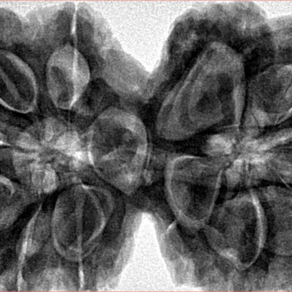 12 MK Gaurishankar 43.3mm 12.51gm - Inverse xray