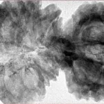 19 MK Gaurishankar 46.2mm 9.27gm - Inverse xray