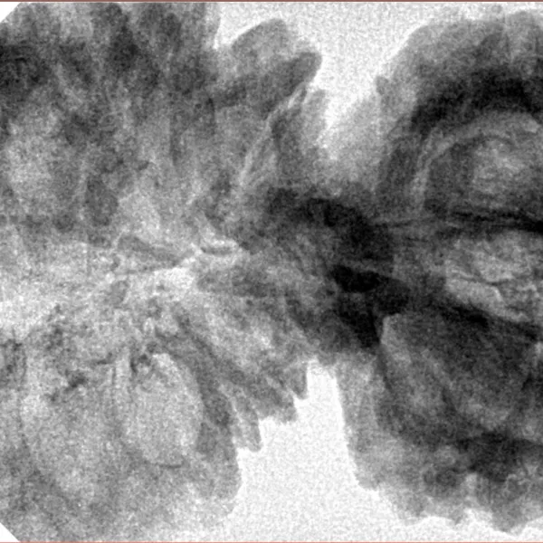 19 MK Gaurishankar 46.2mm 9.27gm - Inverse xray