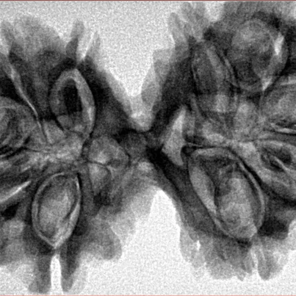 10 Mk Gaurishankar 40.2mm 7.63gm - Inverse xray