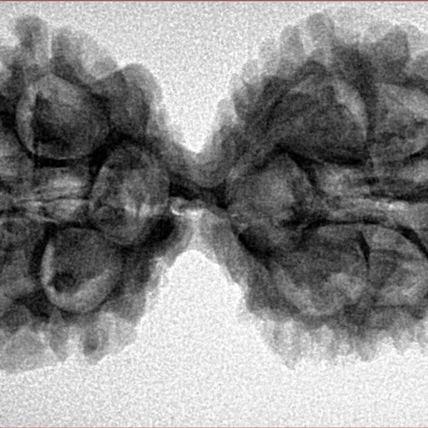 11 MK Gaurishankar 37mm 5.81gm - Inverse xray
