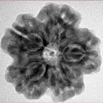1MK(Underdeveloped) 24.6mm 4.84gm - Inverse xray