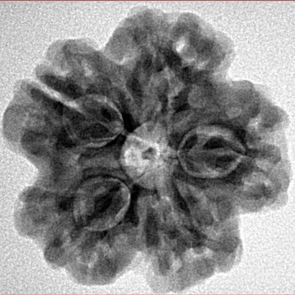 1MK(Underdeveloped) 24.6mm 4.84gm - Inverse xray
