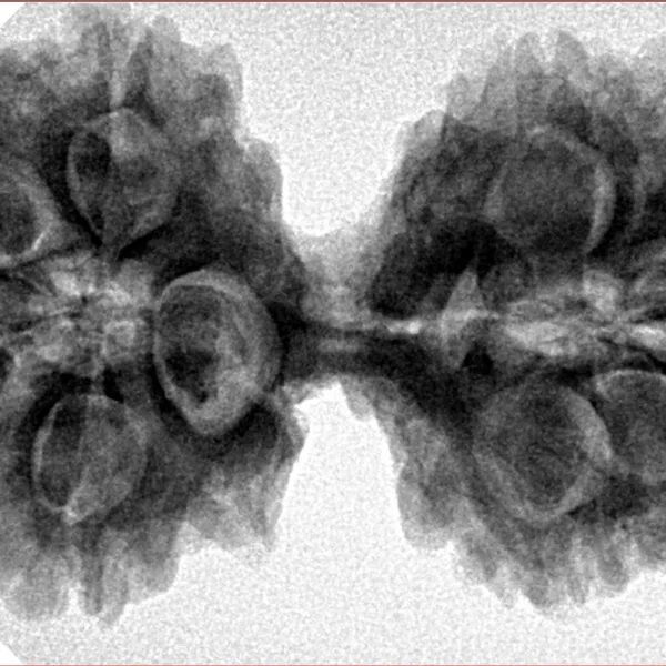 10 Mk Gaurishankar 41.8mm 8.76gm - Inverse xray