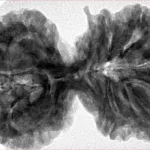 9 MK Gaurishankar 40.3mm 9.7gm - Inverse xray