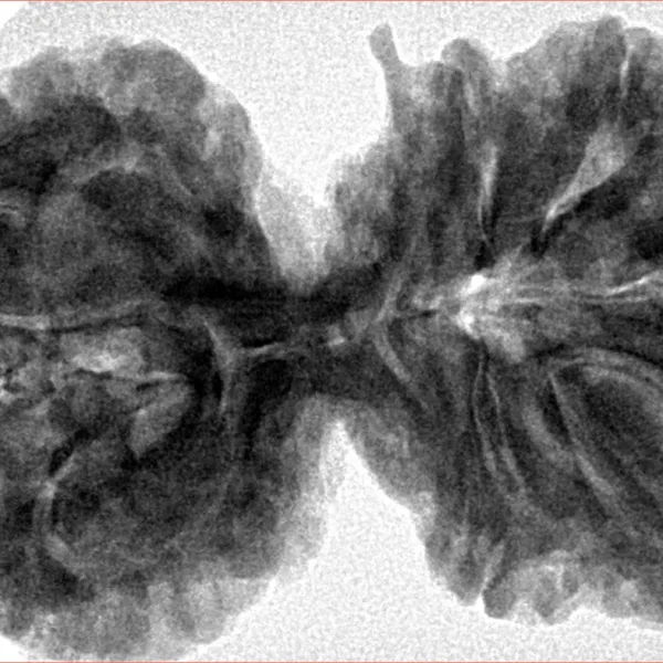 9 MK Gaurishankar 40.3mm 9.7gm - Inverse xray