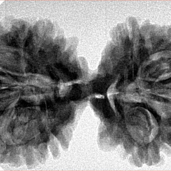 9 MK Gaurishankar 37.4mm 6.79gm - Inverse xray